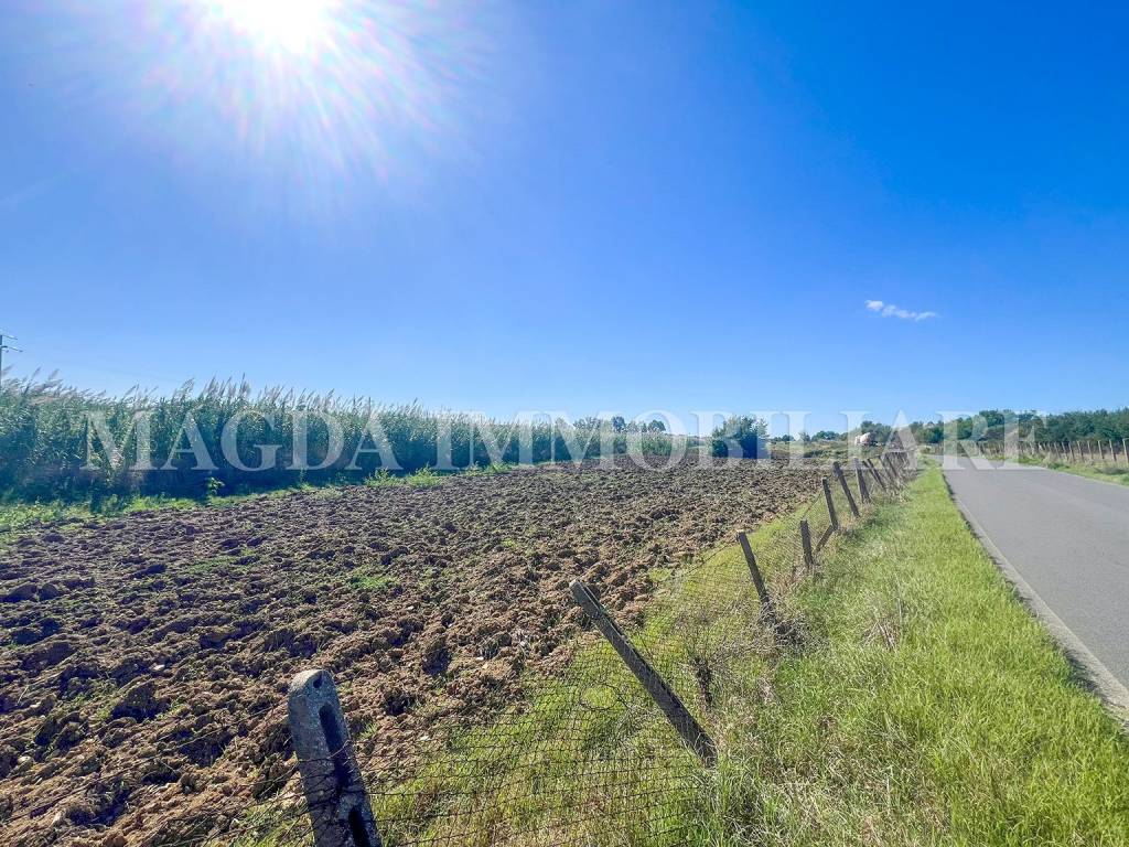 immagine annuncio 5 di 9