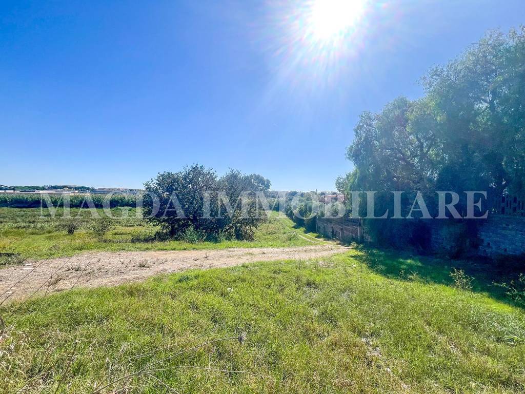 immagine annuncio 6 di 9