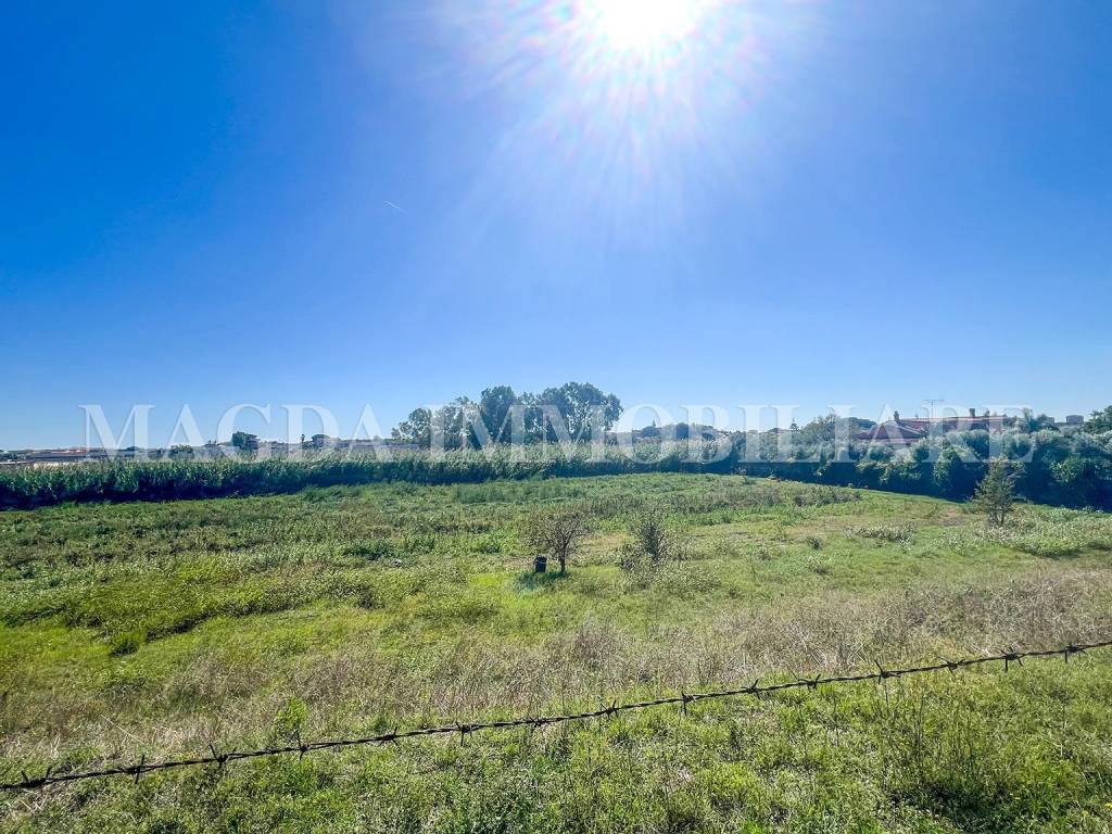 immagine annuncio 7 di 9