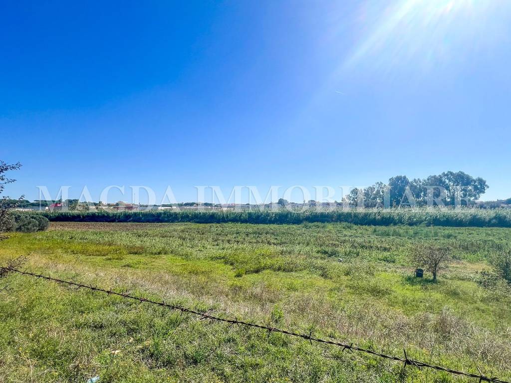 immagine annuncio 8 di 9