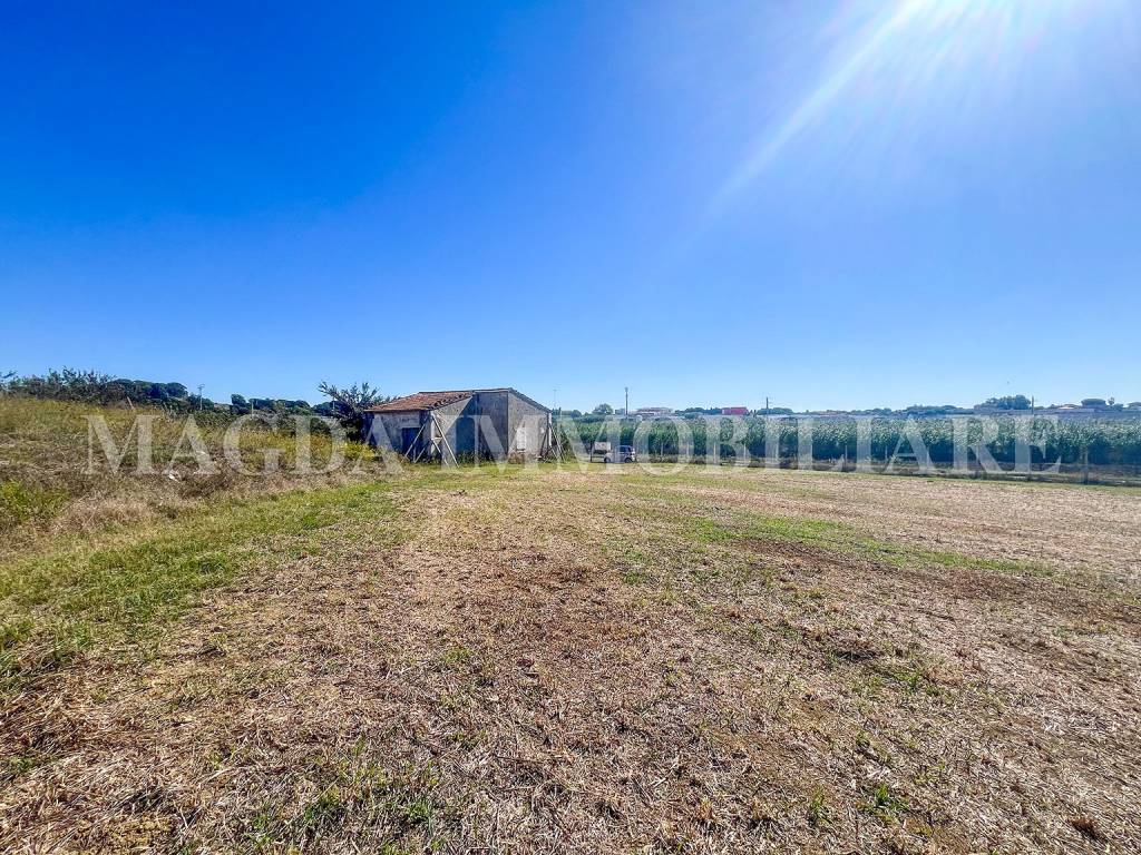 immagine annuncio 1 di 9