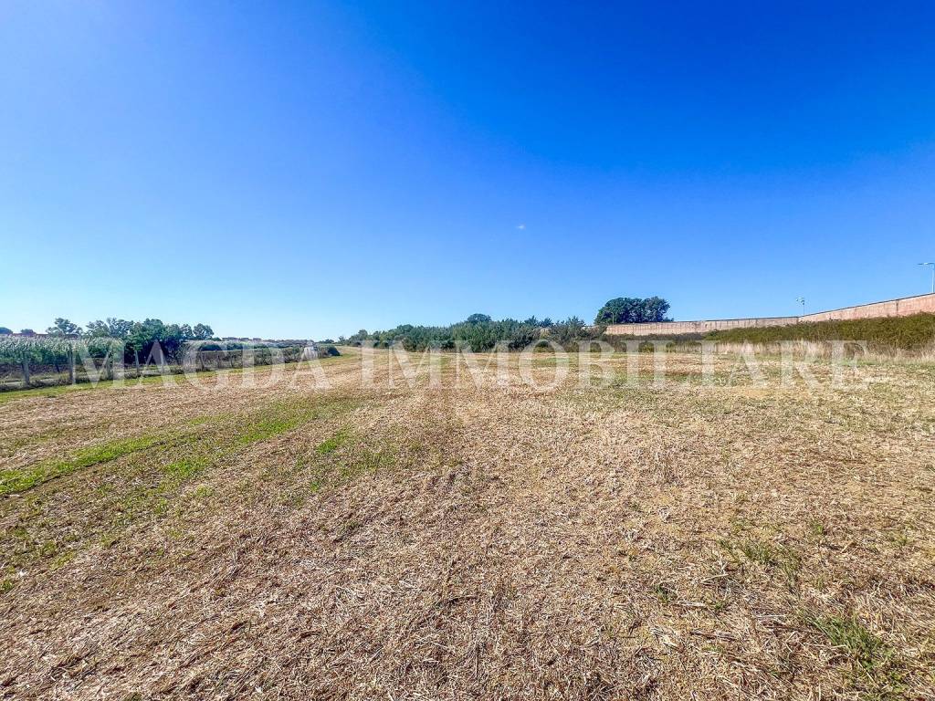 immagine annuncio 2 di 9