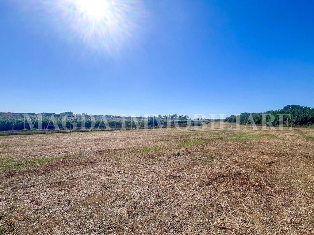 immagine annuncio 3 di 9