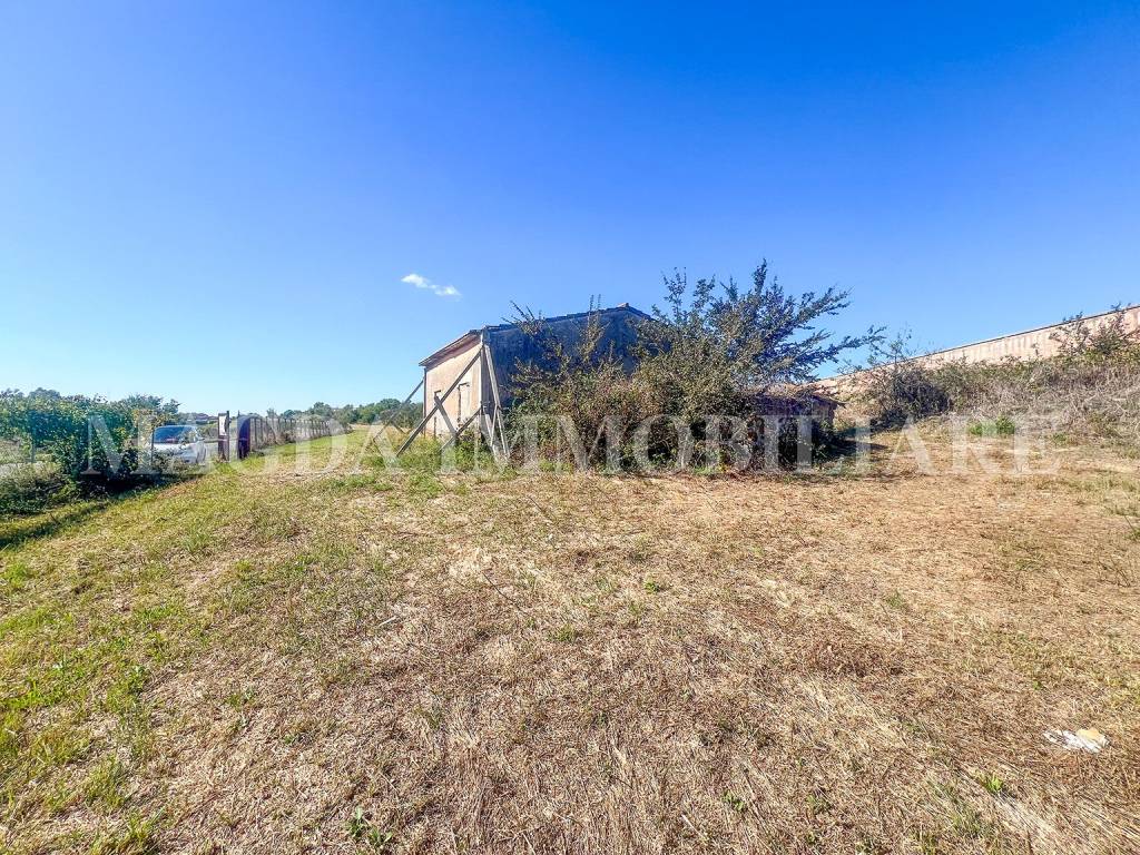 immagine annuncio 4 di 9