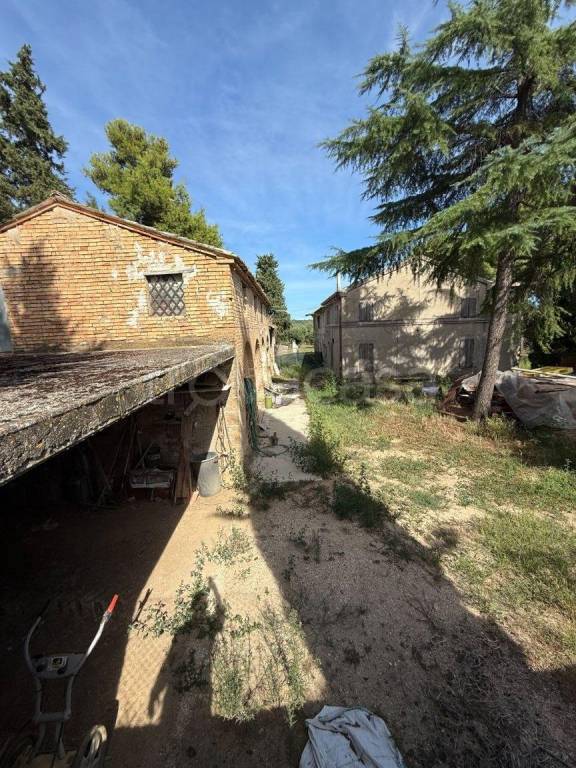 immagine annuncio 11 di 13