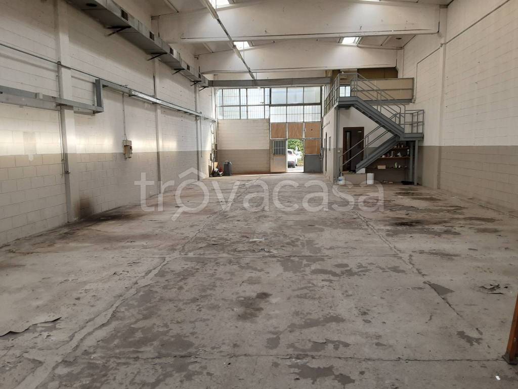 immagine annuncio 7 di 15