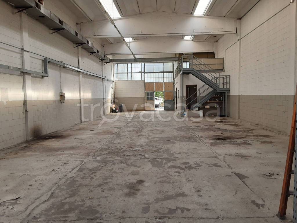 immagine annuncio 8 di 15