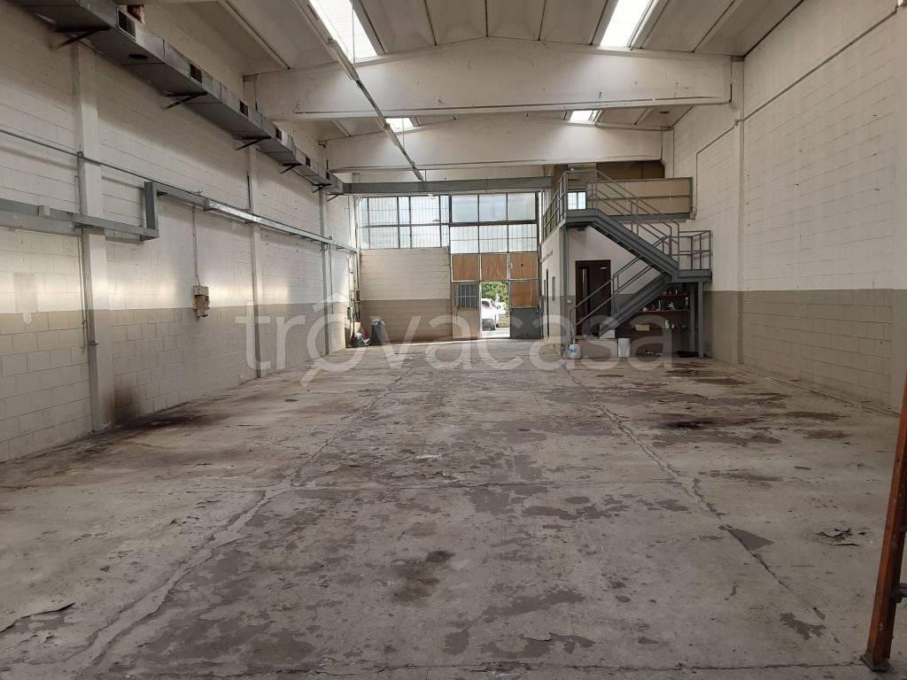 immagine annuncio 9 di 15