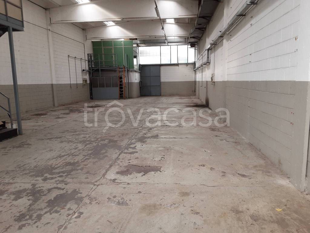 immagine annuncio 6 di 15