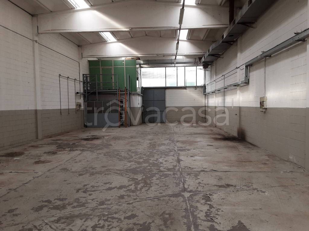 immagine annuncio 5 di 15