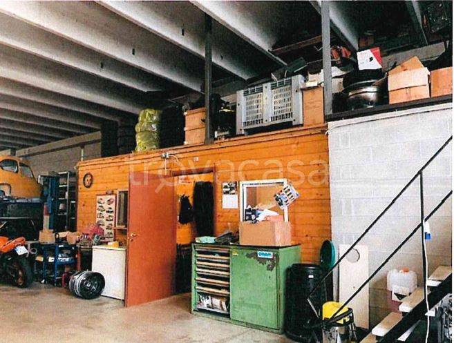 immagine annuncio 3 di 12