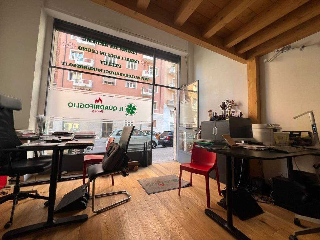 immagine annuncio 1 di 13