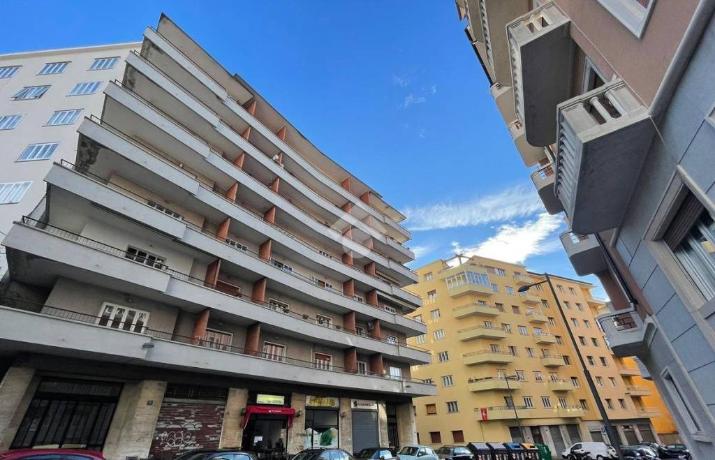 immagine annuncio 9 di 13