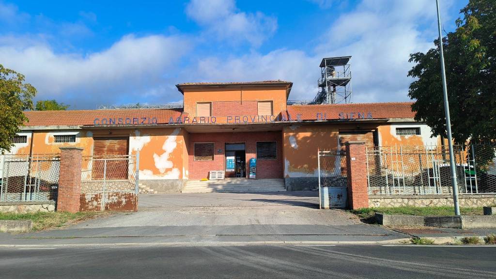 immagine annuncio 1 di 4