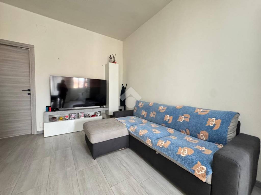 immagine annuncio 8 di 12