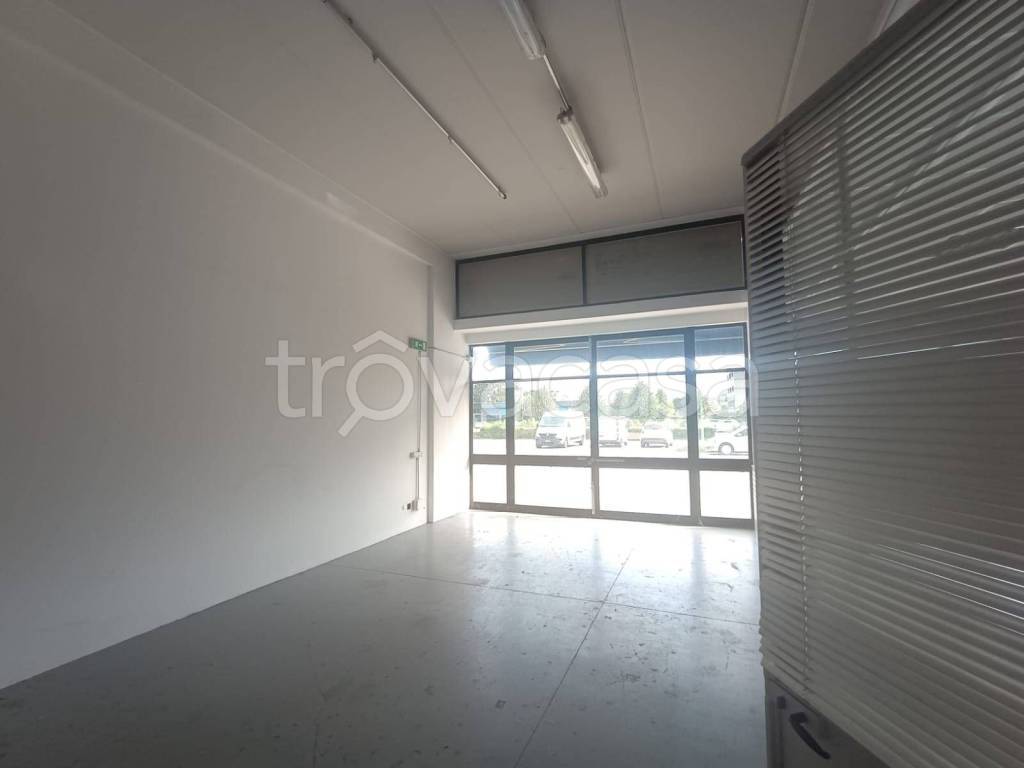 immagine annuncio 11 di 12