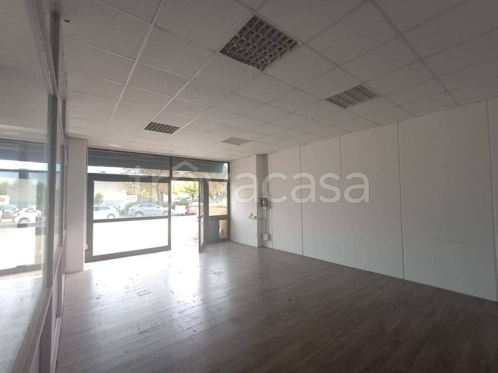 immagine annuncio 10 di 12