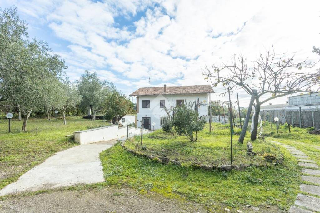 immagine annuncio 1 di 4