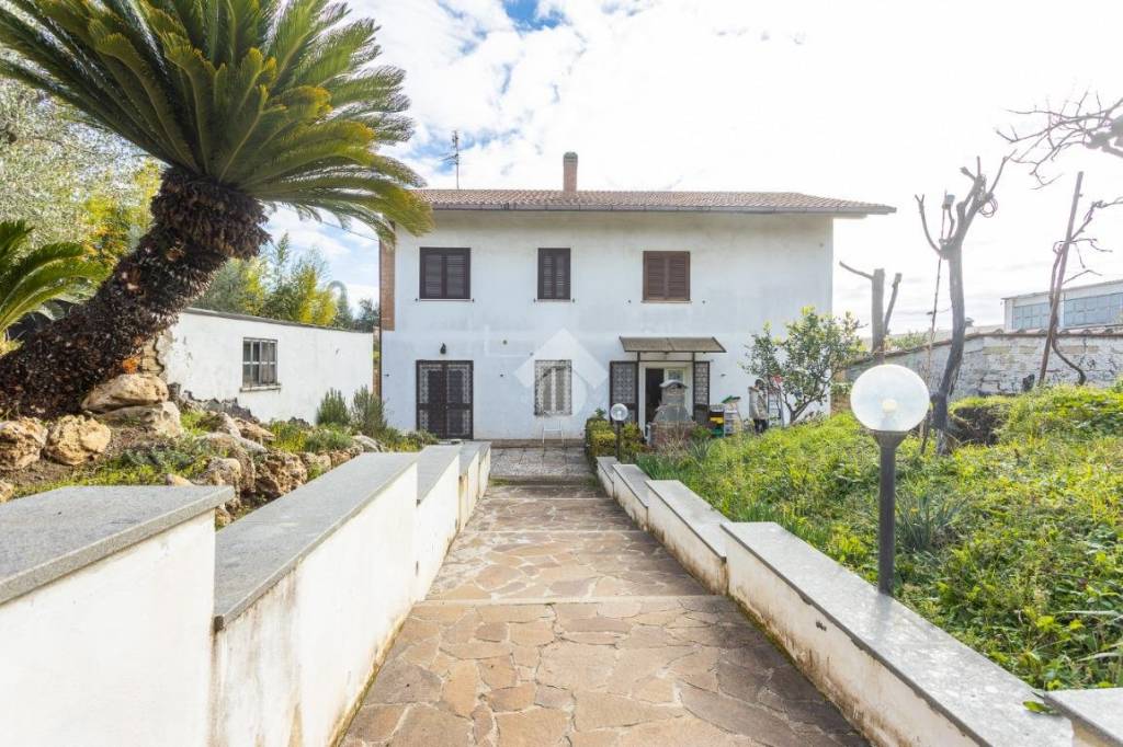 immagine annuncio 3 di 4