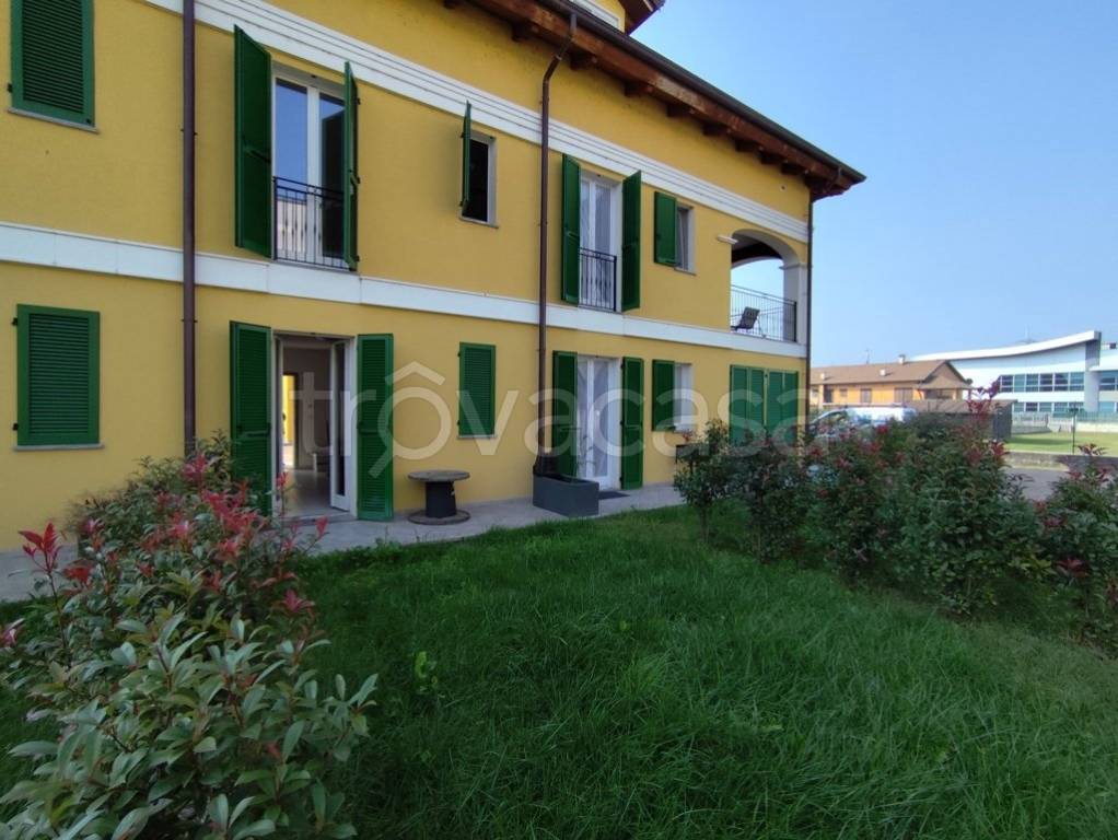 immagine annuncio 12 di 15