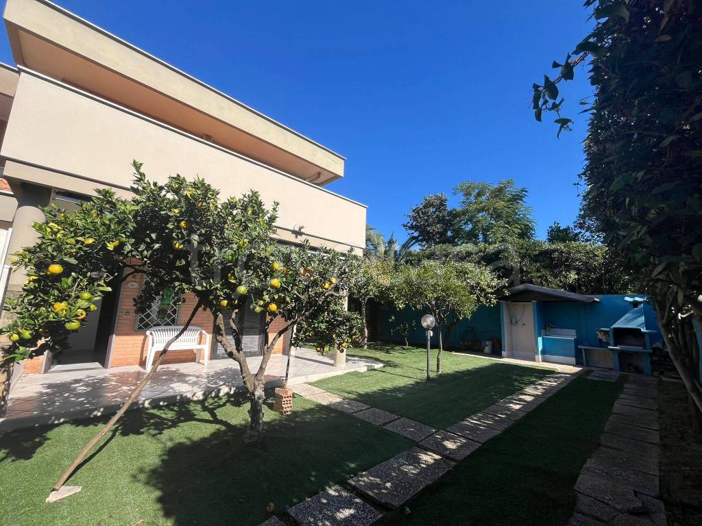 immagine annuncio 11 di 13