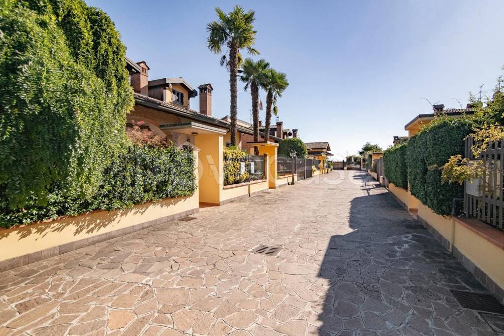 immagine annuncio 9 di 15