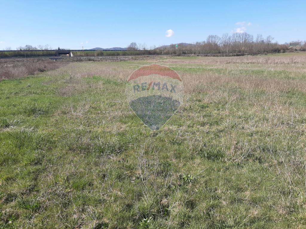 immagine annuncio 3 di 8