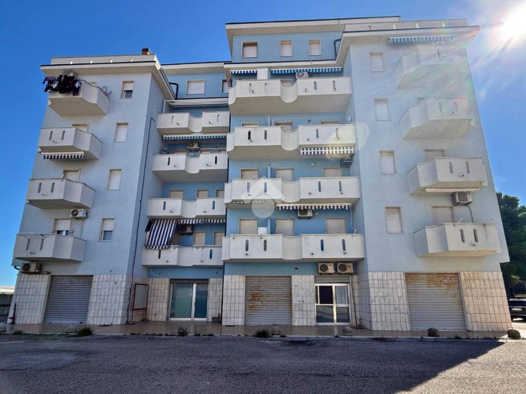 immagine annuncio 1 di 10