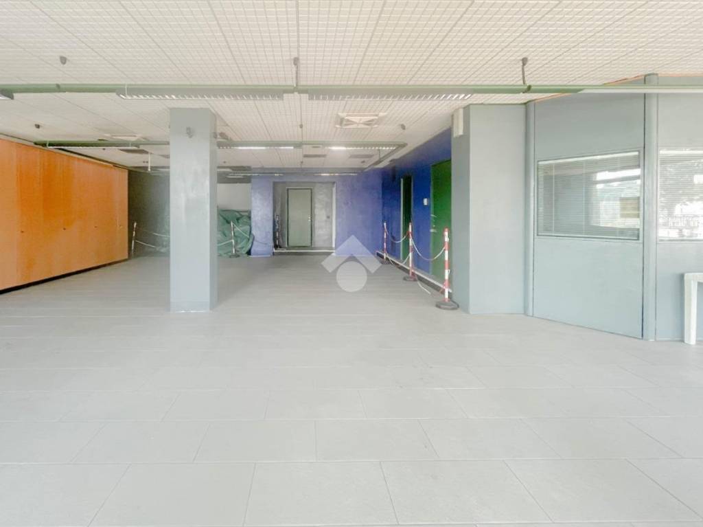 immagine annuncio 7 di 13