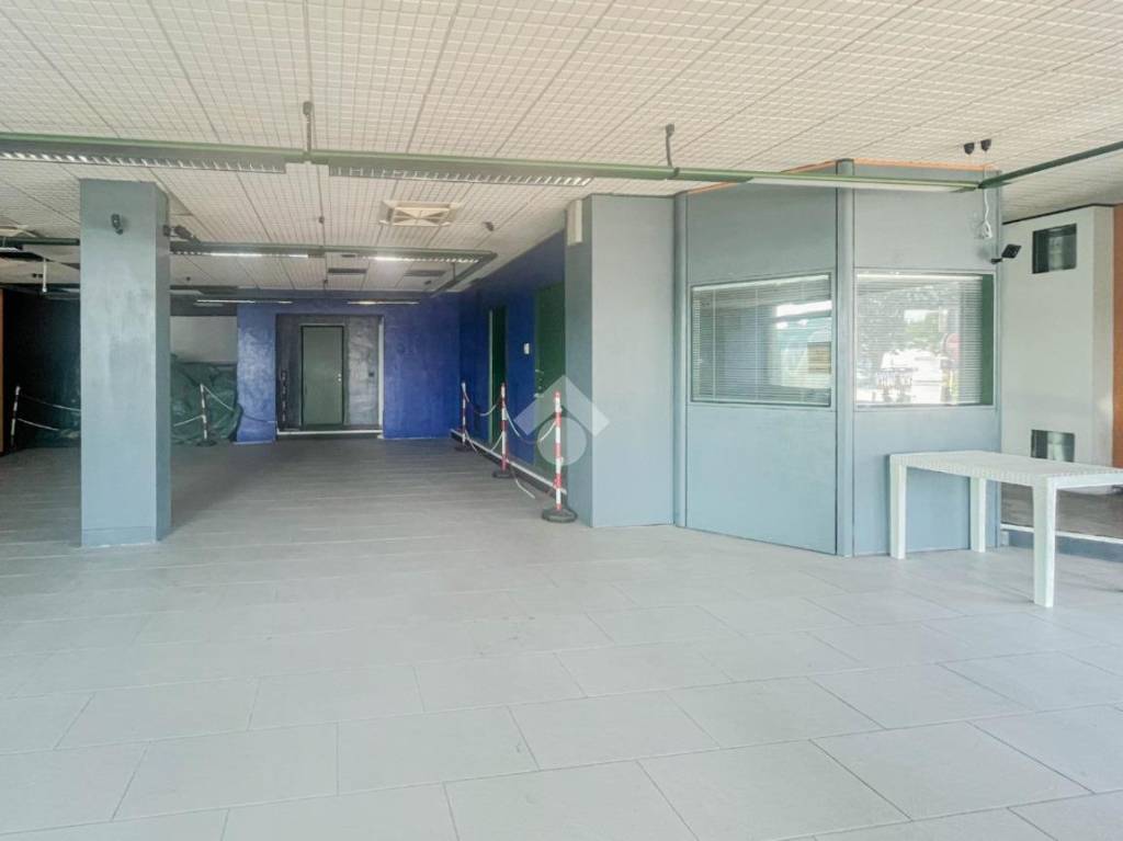 immagine annuncio 10 di 13