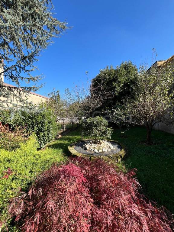 immagine annuncio 7 di 9