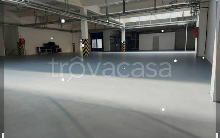 immagine annuncio 2 di 7