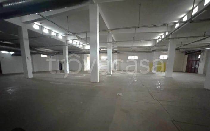 immagine annuncio 3 di 7