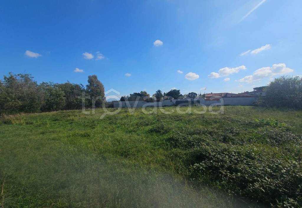 immagine annuncio 6 di 9