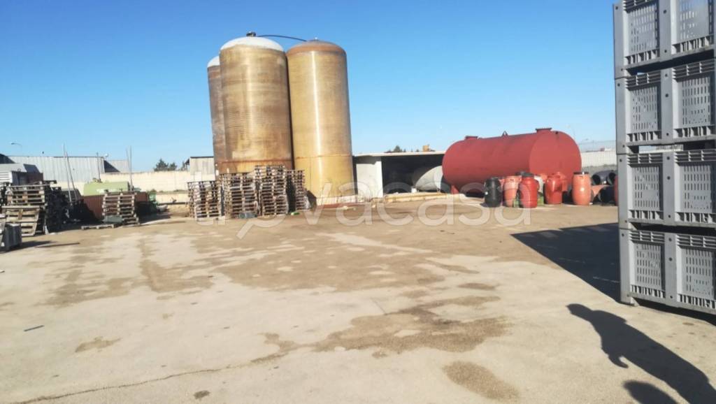 immagine annuncio 2 di 9