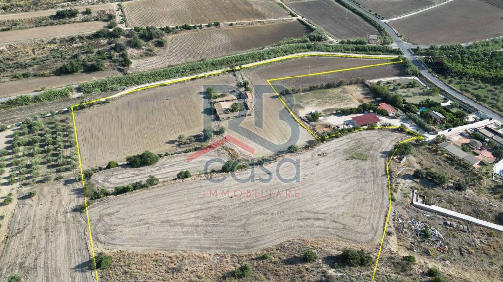 immagine annuncio 3 di 14