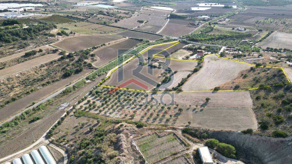 immagine annuncio 4 di 14