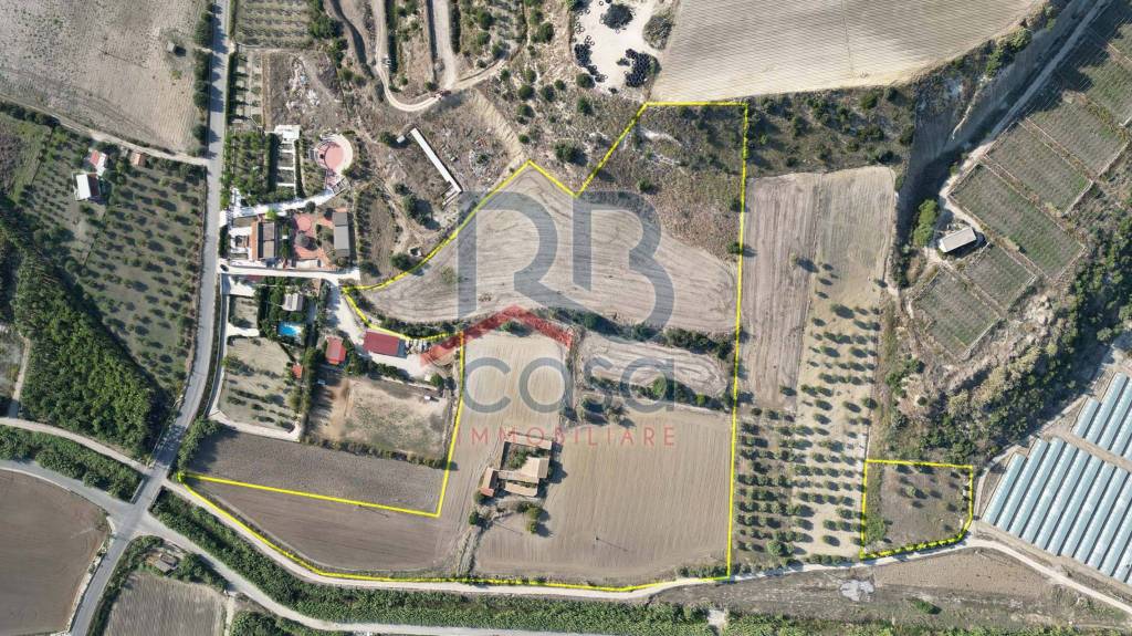 immagine annuncio 7 di 14