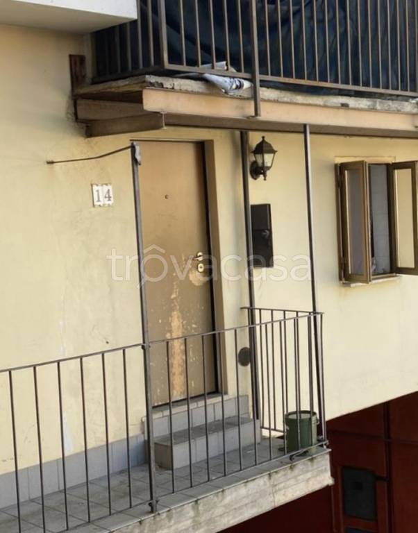 immagine annuncio 9 di 11