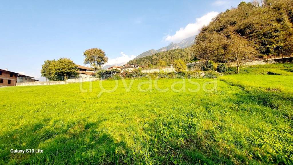 immagine annuncio 3 di 11