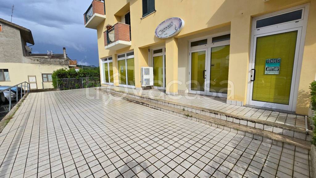 immagine annuncio 2 di 12