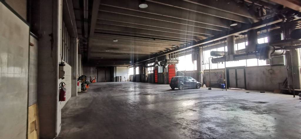 immagine annuncio 5 di 15