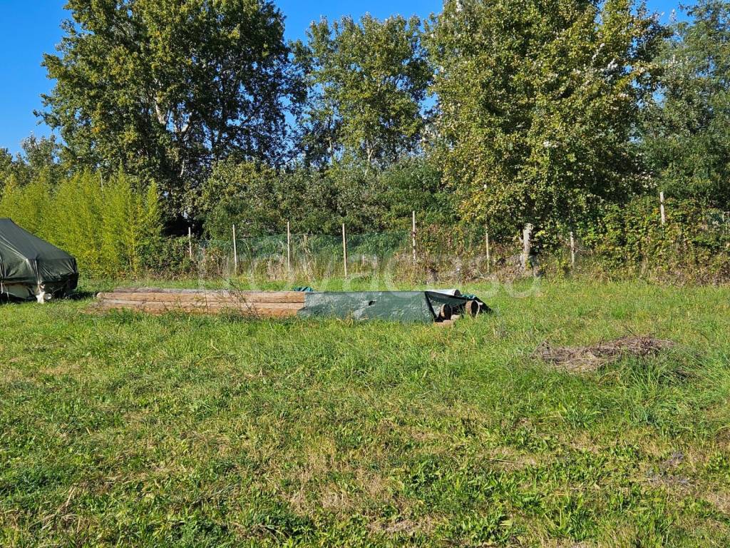 immagine annuncio 3 di 9