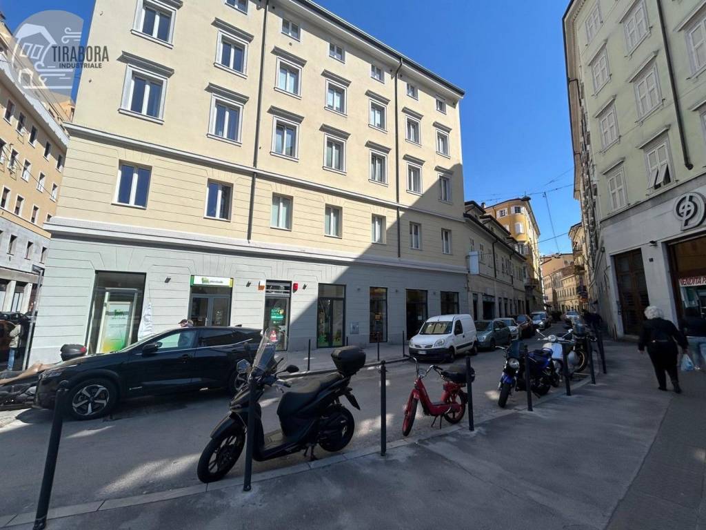 immagine annuncio 2 di 8