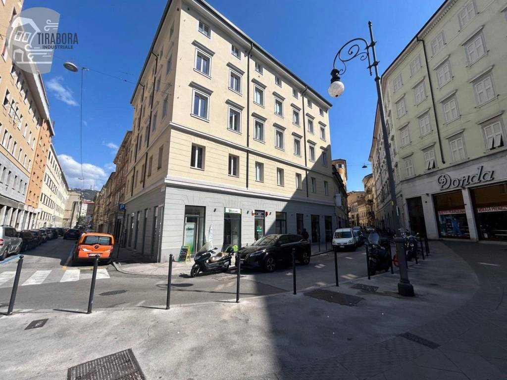 immagine annuncio 3 di 8