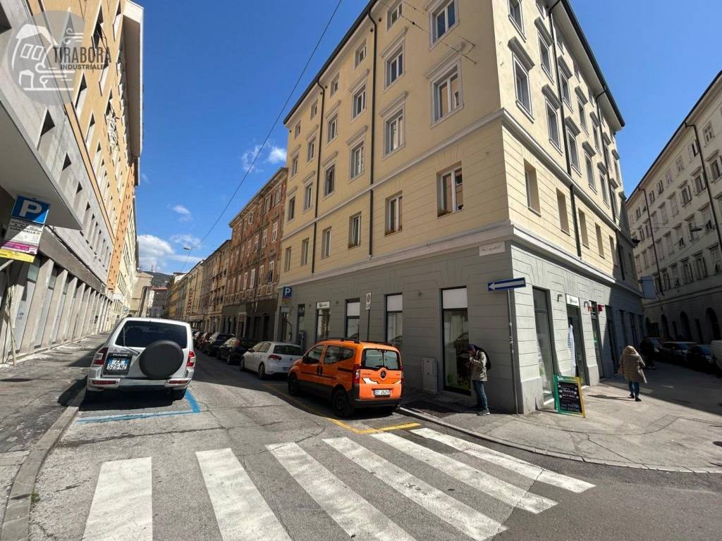 immagine annuncio 4 di 8