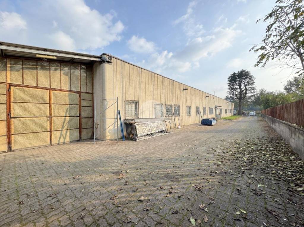 immagine annuncio 4 di 10