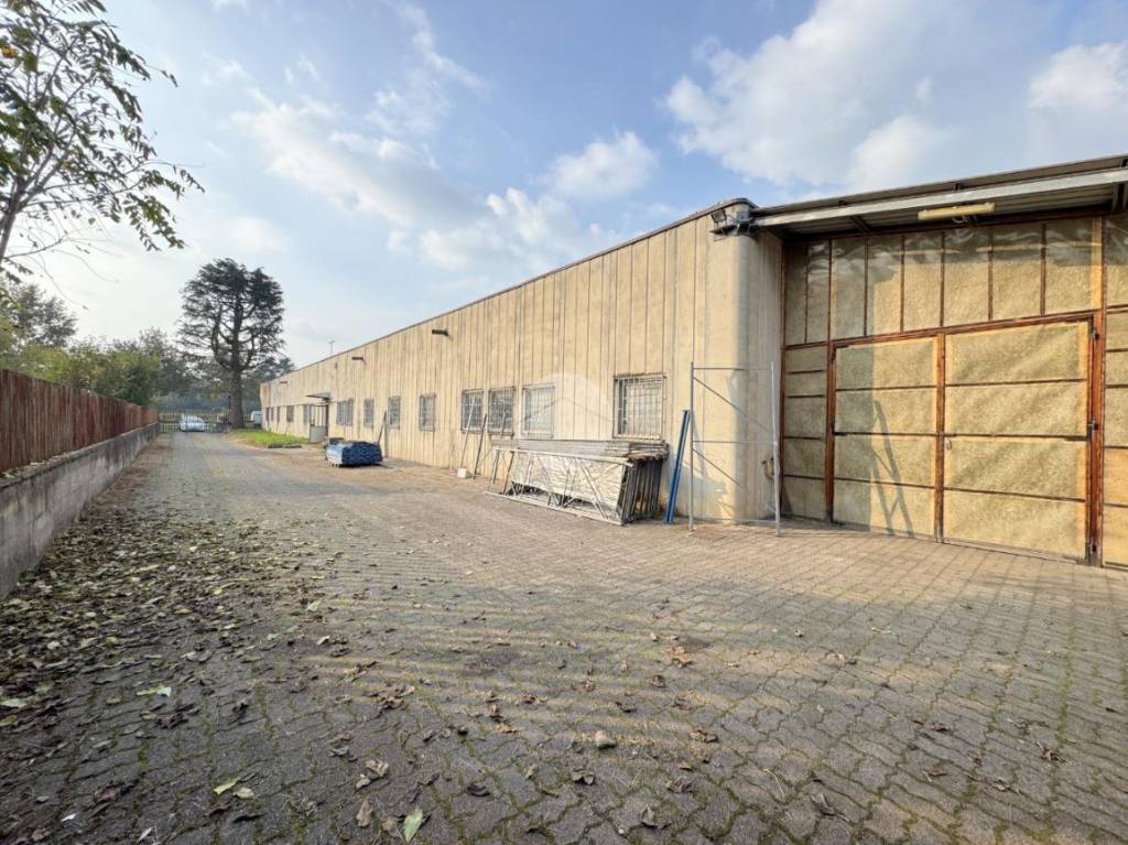 immagine annuncio 5 di 10