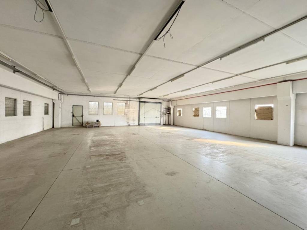 immagine annuncio 6 di 10