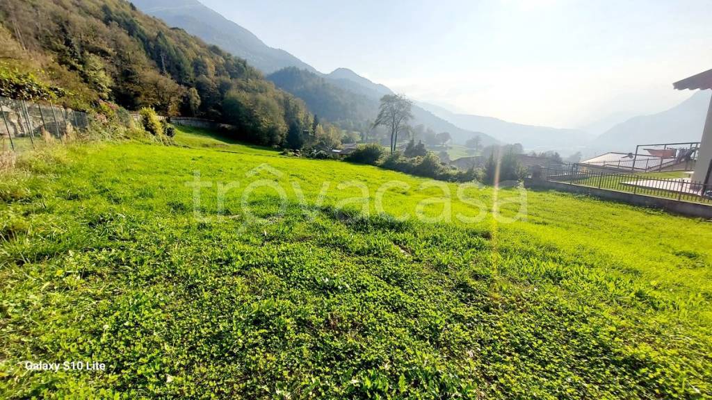 immagine annuncio 3 di 11